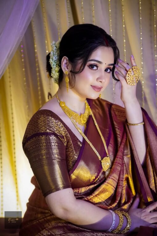 Indian Kanchi saree