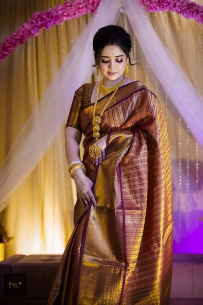 Indian Kanchi saree