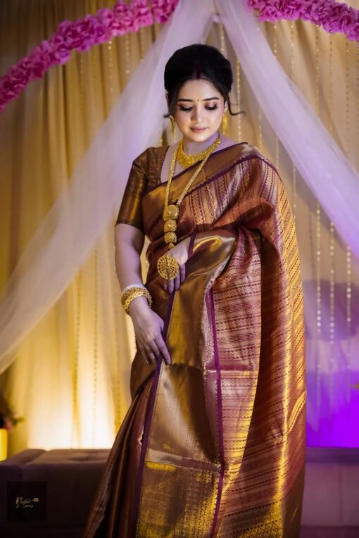 Indian Kanchi saree